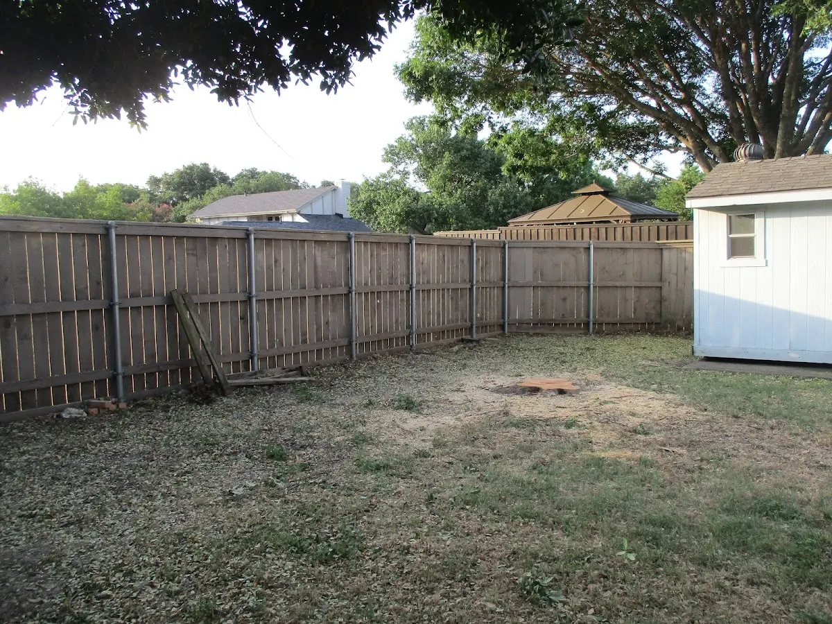 Cleared yard after professional tree removal in Violet Hill
